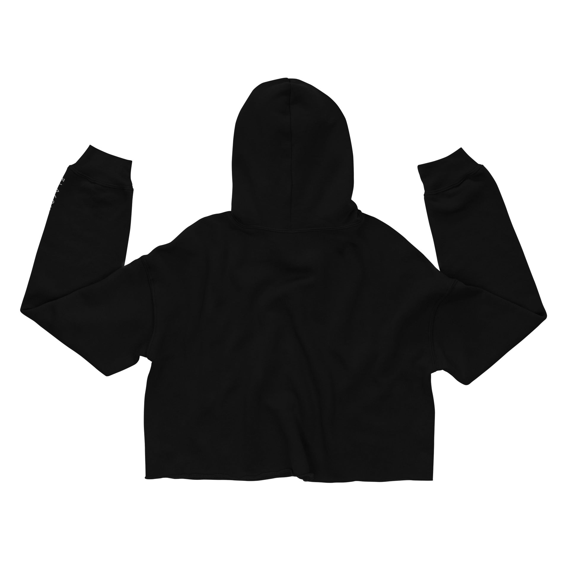 Ethereos Women's Crop Hoodie - FLAKOUT